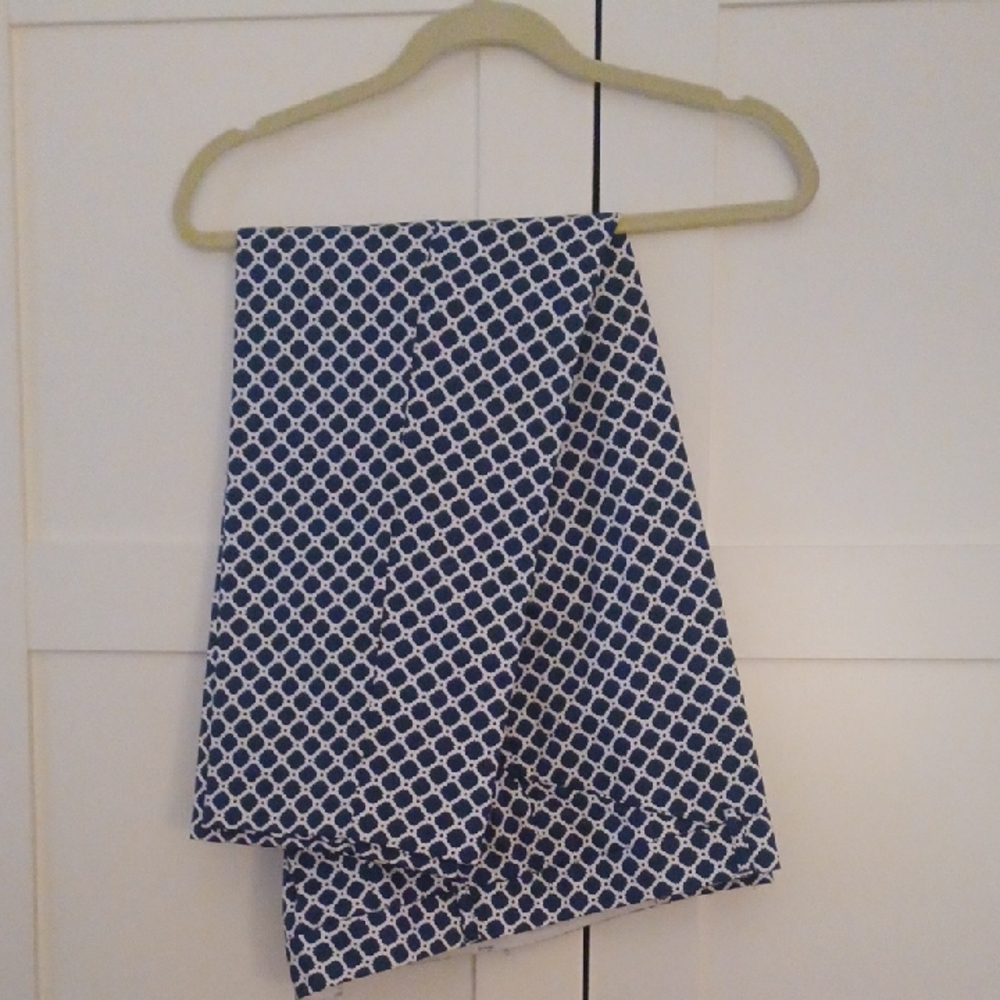 Elegant Blue and White Patterned pants